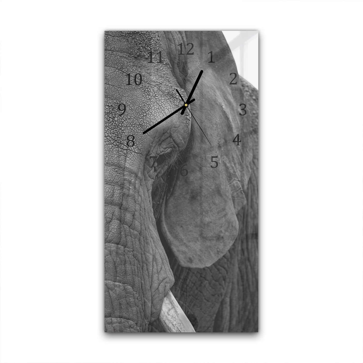 Wanduhr 30x60 - Afrikanischer Waldelefant