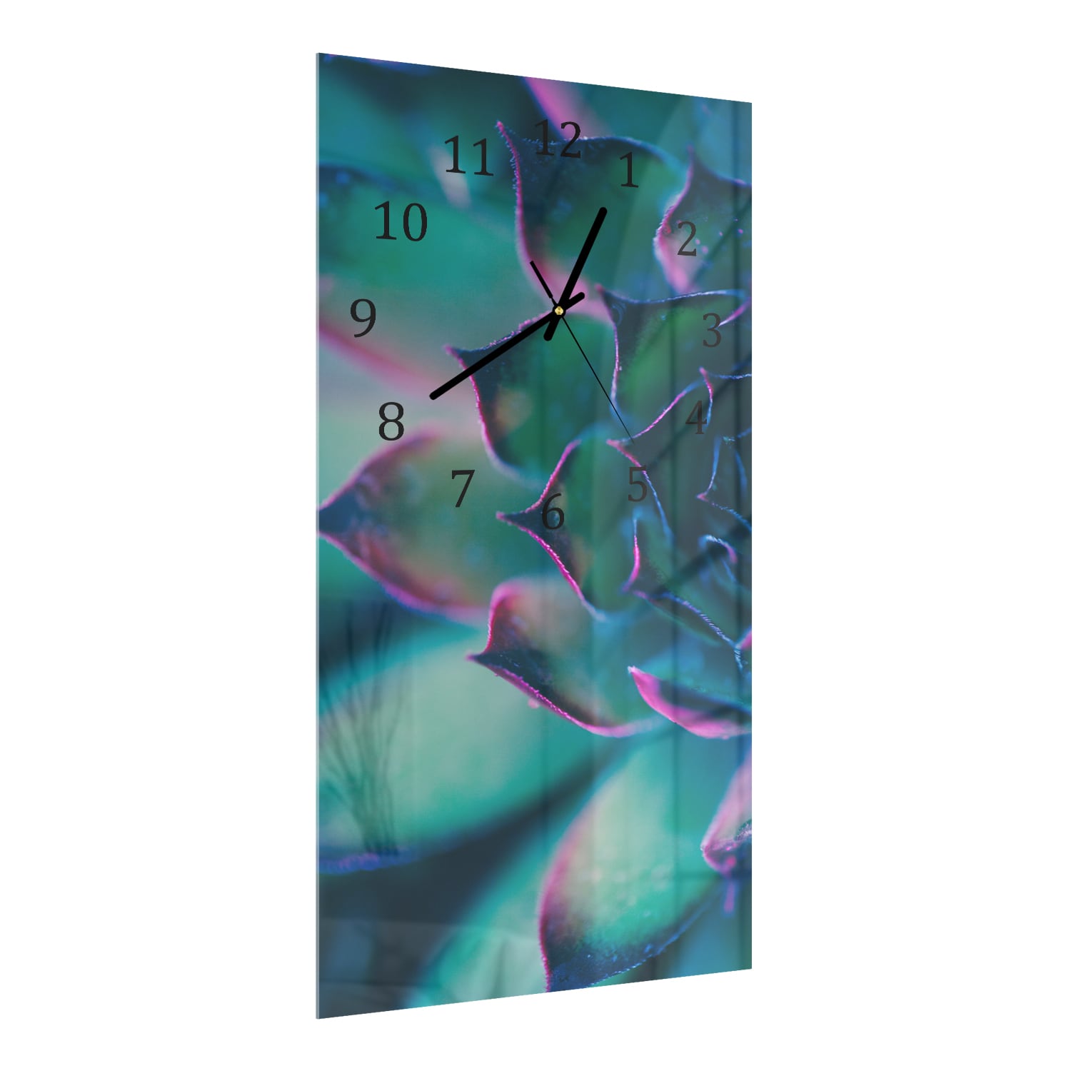 Wanduhr 30x60 - Bunte Sukkulente