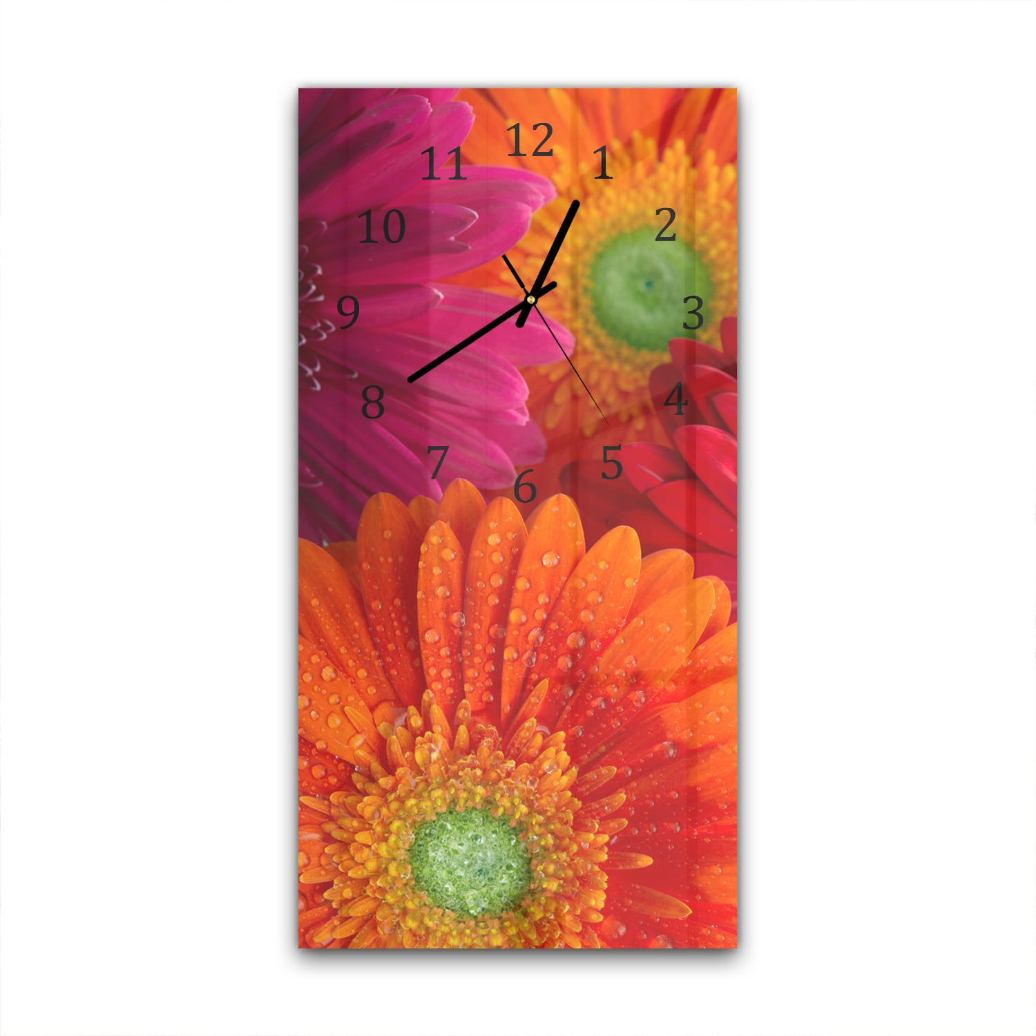 Wanduhr 30x60 - Strahlende Gerbera