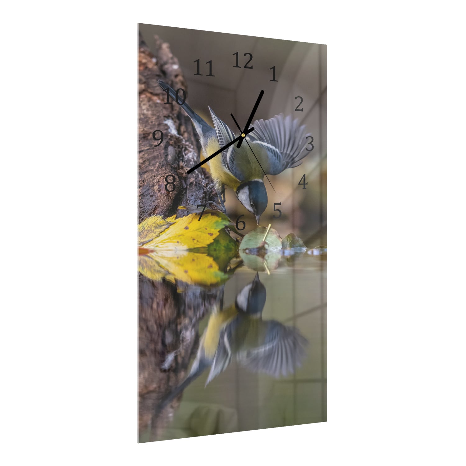 Wanduhr 30x60 - Kohlmeise am Wasser