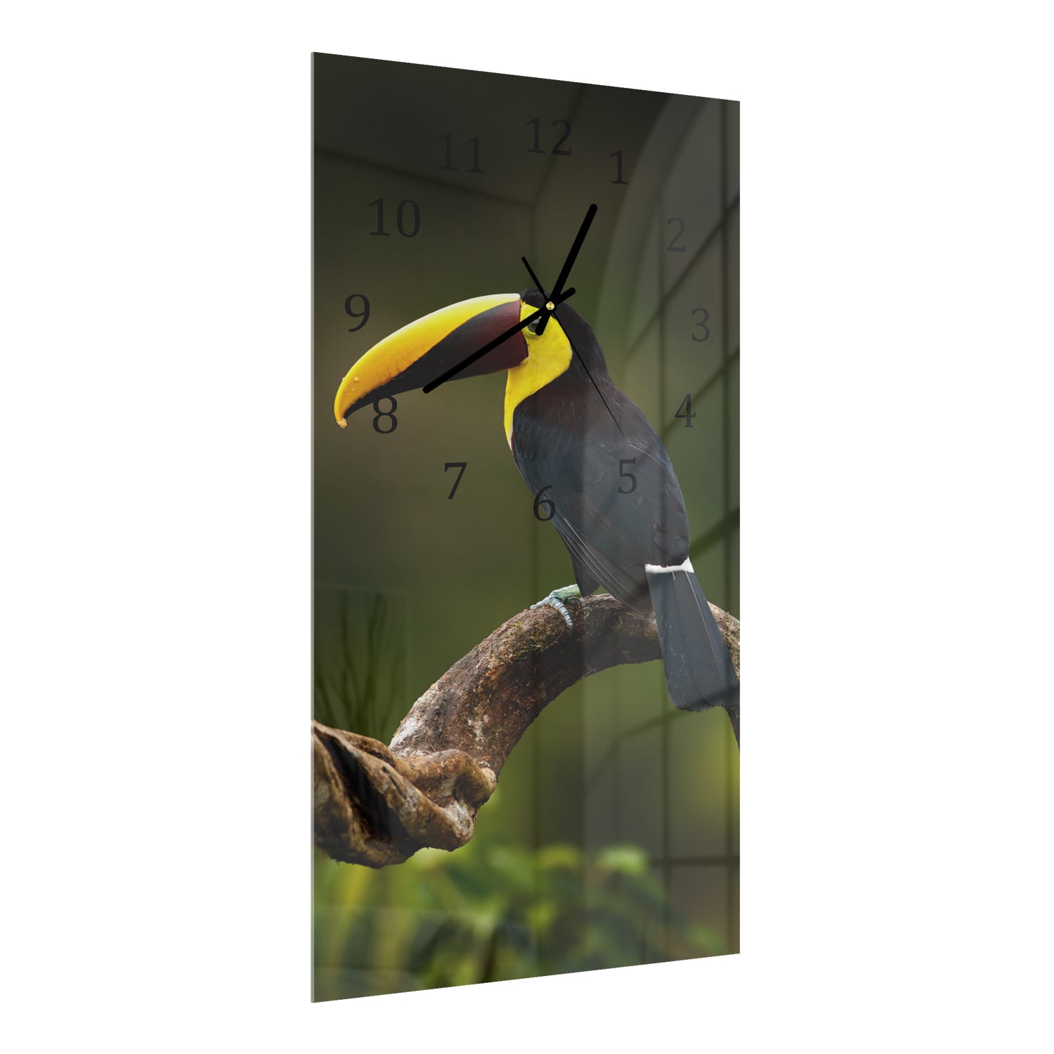 Wanduhr 30x60 - Tropischer Vogel