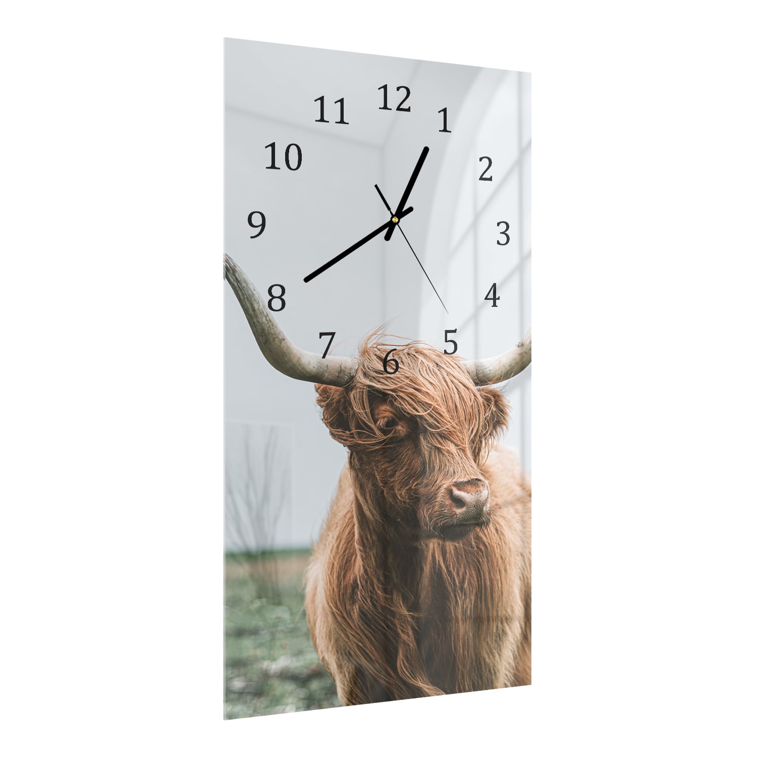Wanduhr 30x60 - Schottisches Hochlandrind im Wind