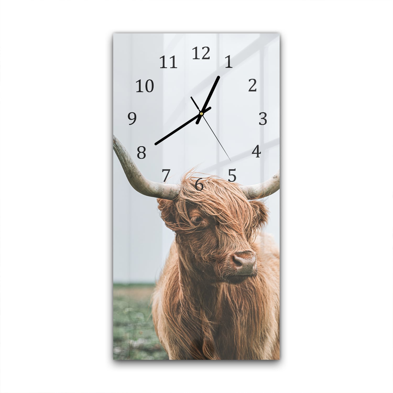 Wanduhr 30x60 - Schottisches Hochlandrind im Wind