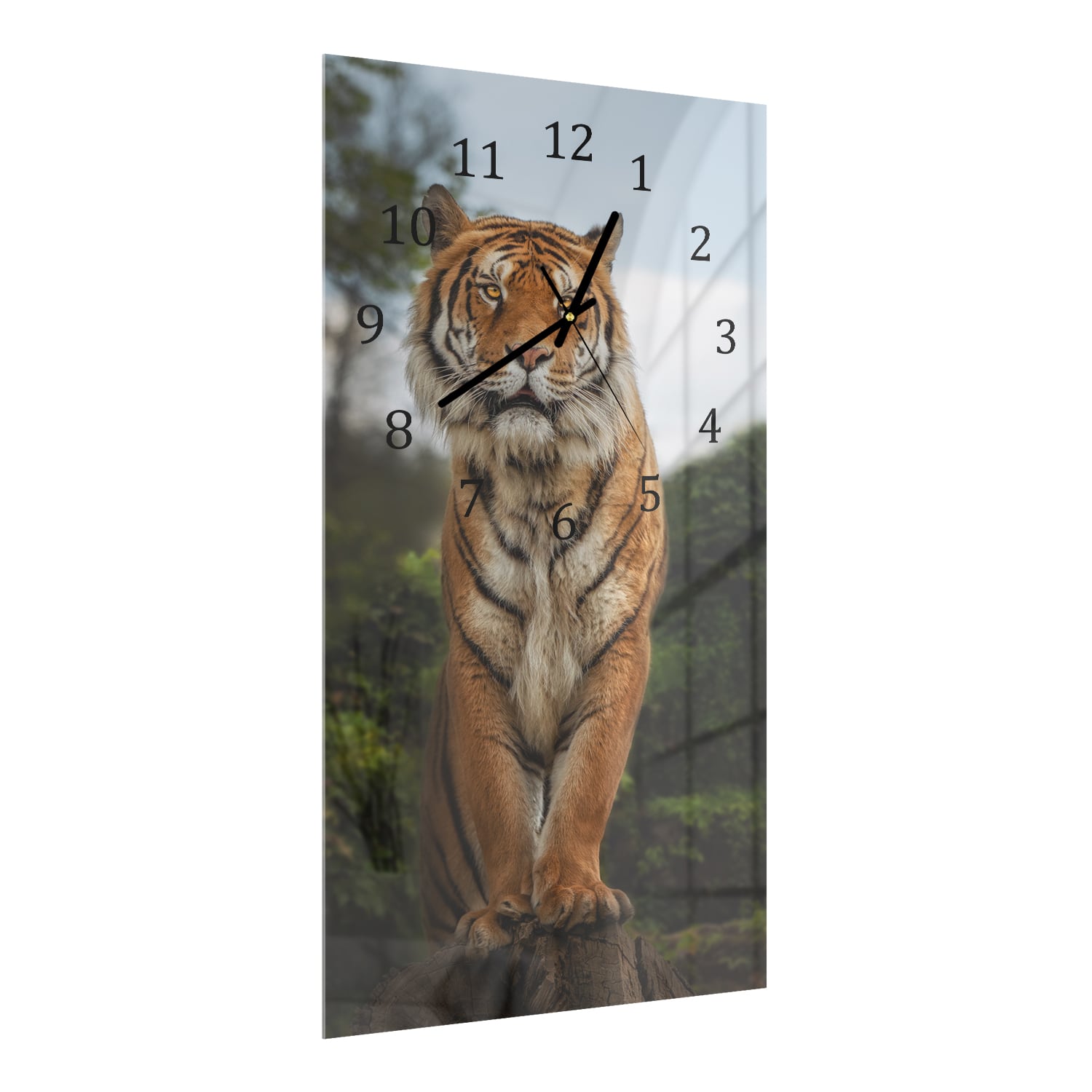 Wanduhr 30x60 - Bengalischer Tiger auf Felsen