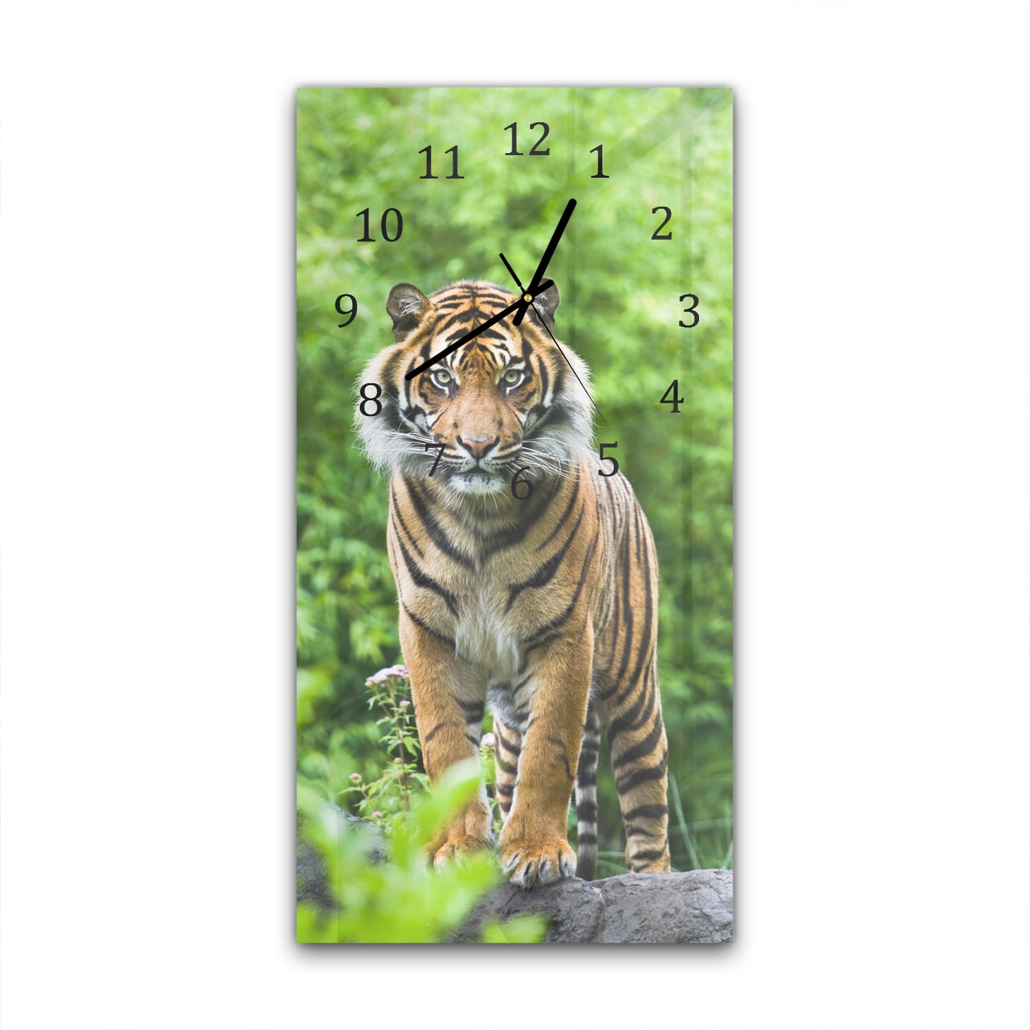 Wanduhr 30x60 - Bengalischer Tiger
