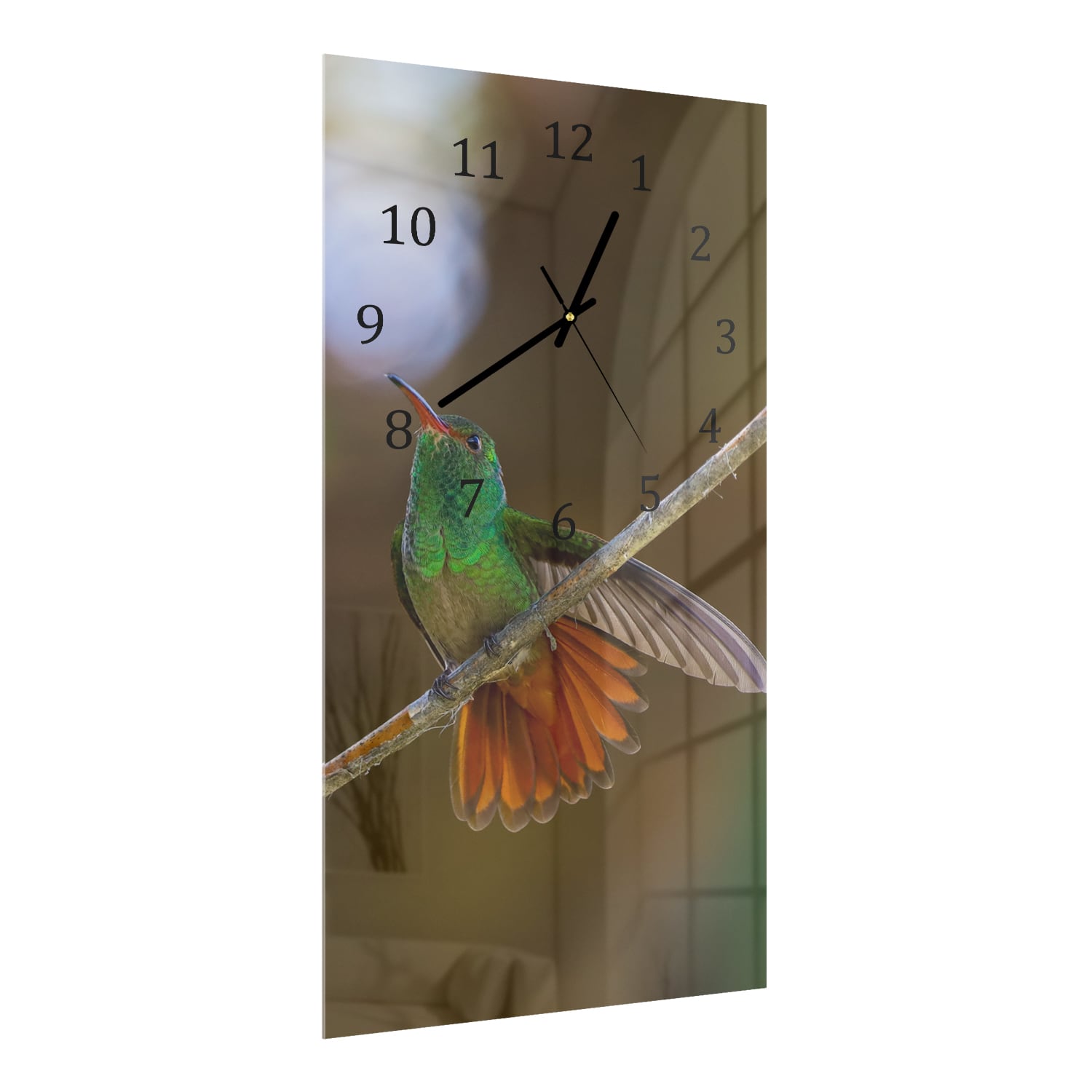 Wanduhr 30x60 - Kolibri