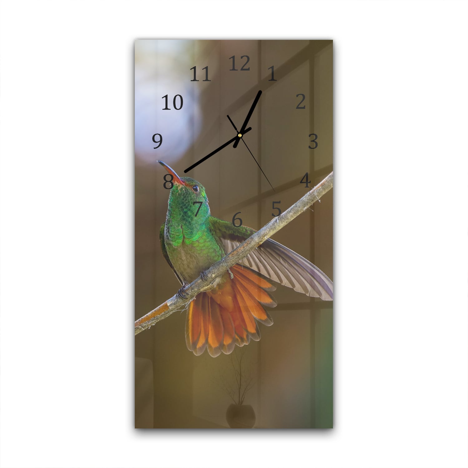 Wanduhr 30x60 - Kolibri