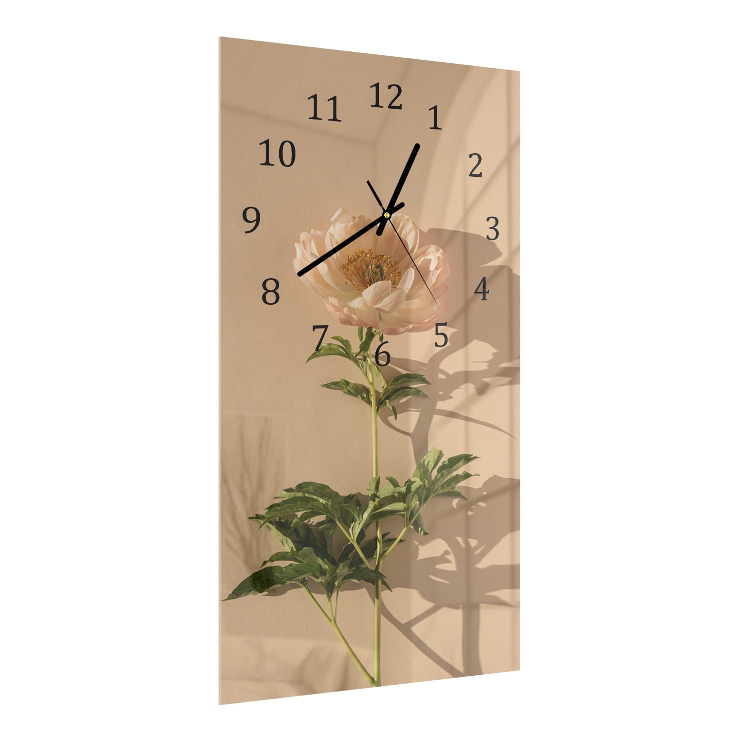 Wanduhr 30x60 - Pfirsichrosa Pfingstrose