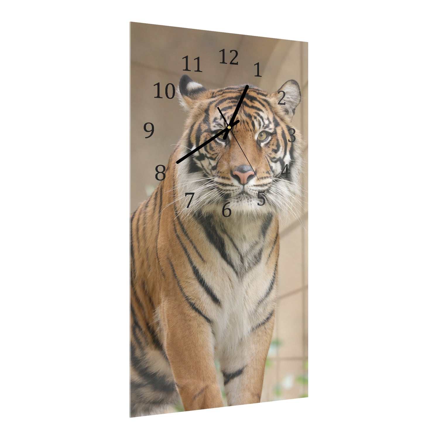 Wanduhr 30x60 - Tiger im Dschungel