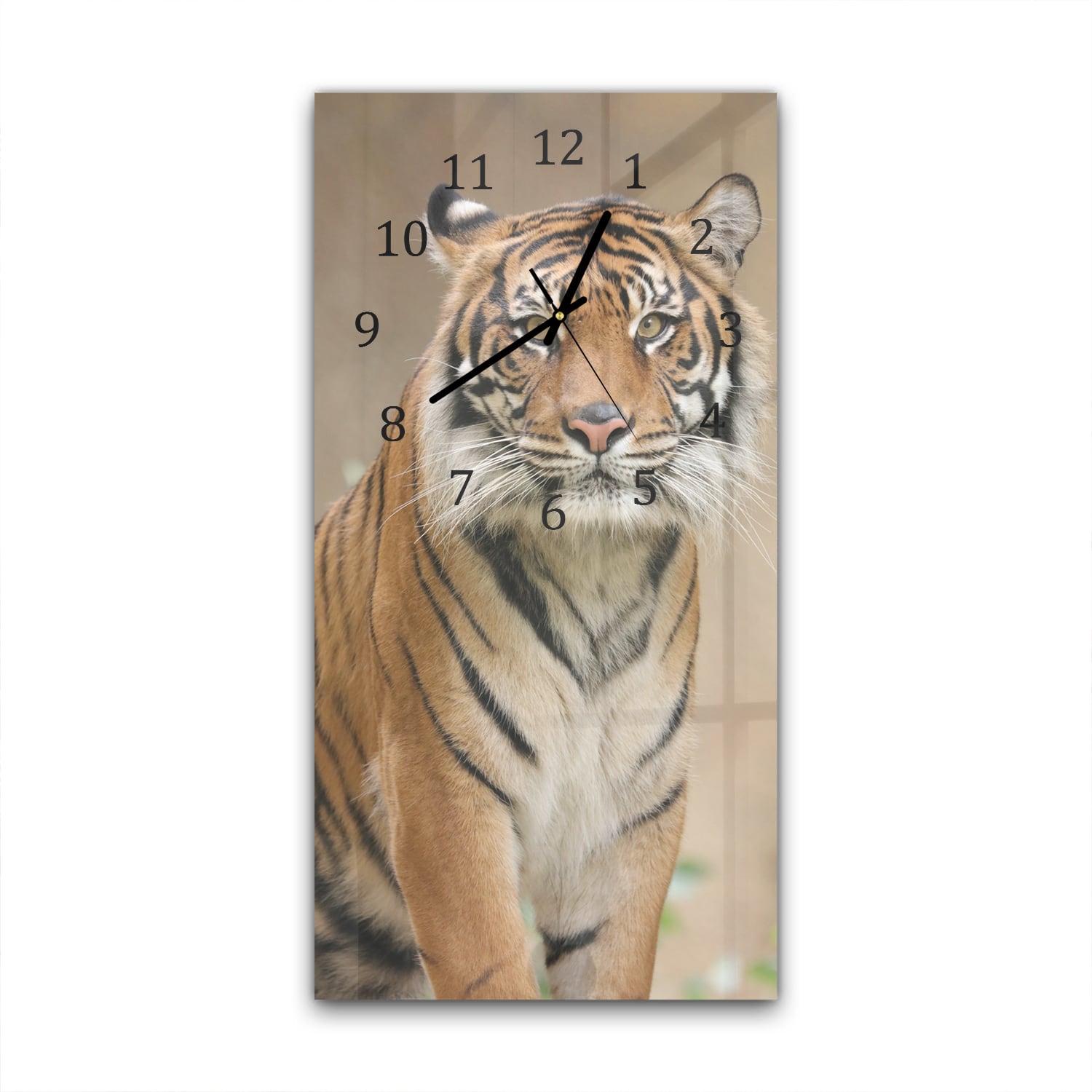 Wanduhr 30x60 - Tiger im Dschungel