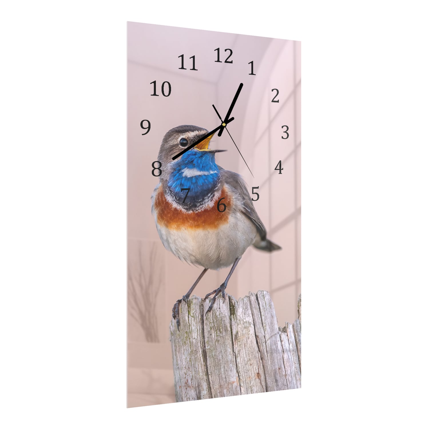 Wanduhr 30x60 - Blaukehlchen