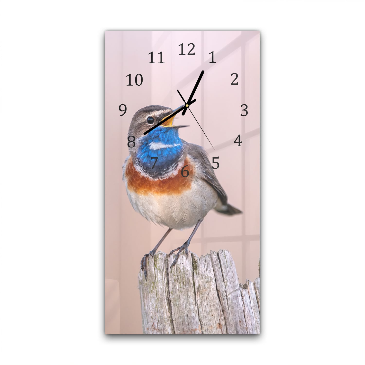 Wanduhr 30x60 - Blaukehlchen