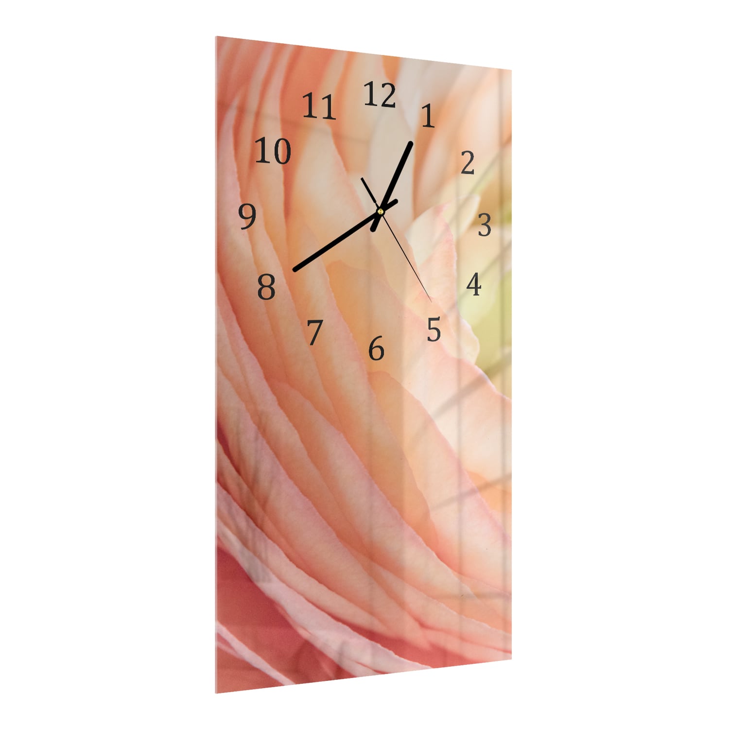 Wanduhr 30x60 - Butterblume Nahaufnahme