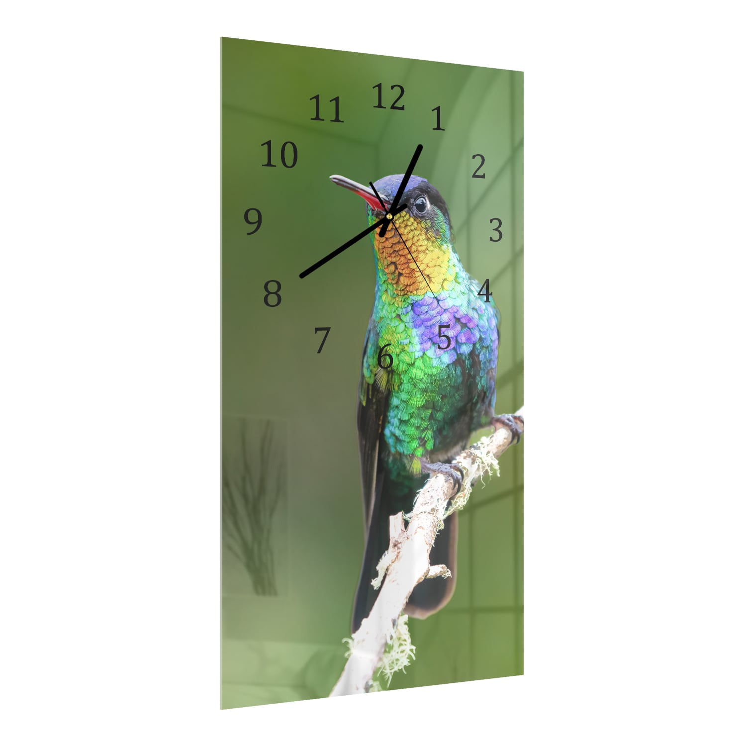 Wanduhr 30x60 - Feuerkehlkolibri