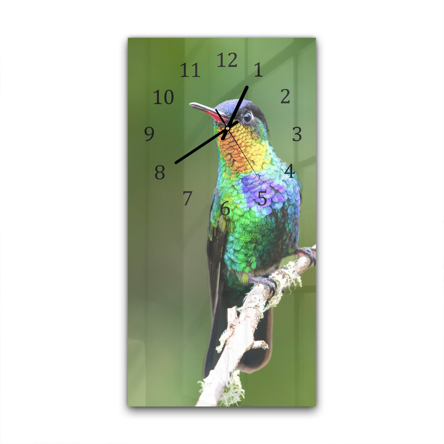 Wanduhr 30x60 - Feuerkehlkolibri