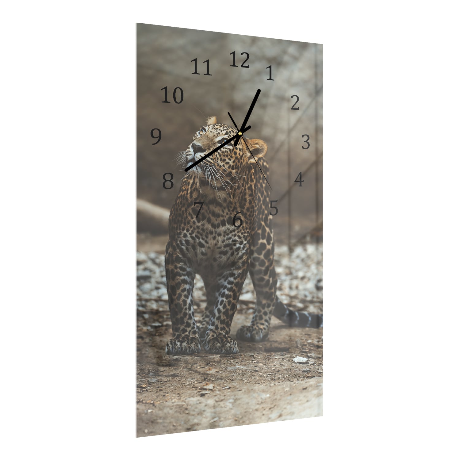 Wanduhr 30x60 - Ceylon-Leopard