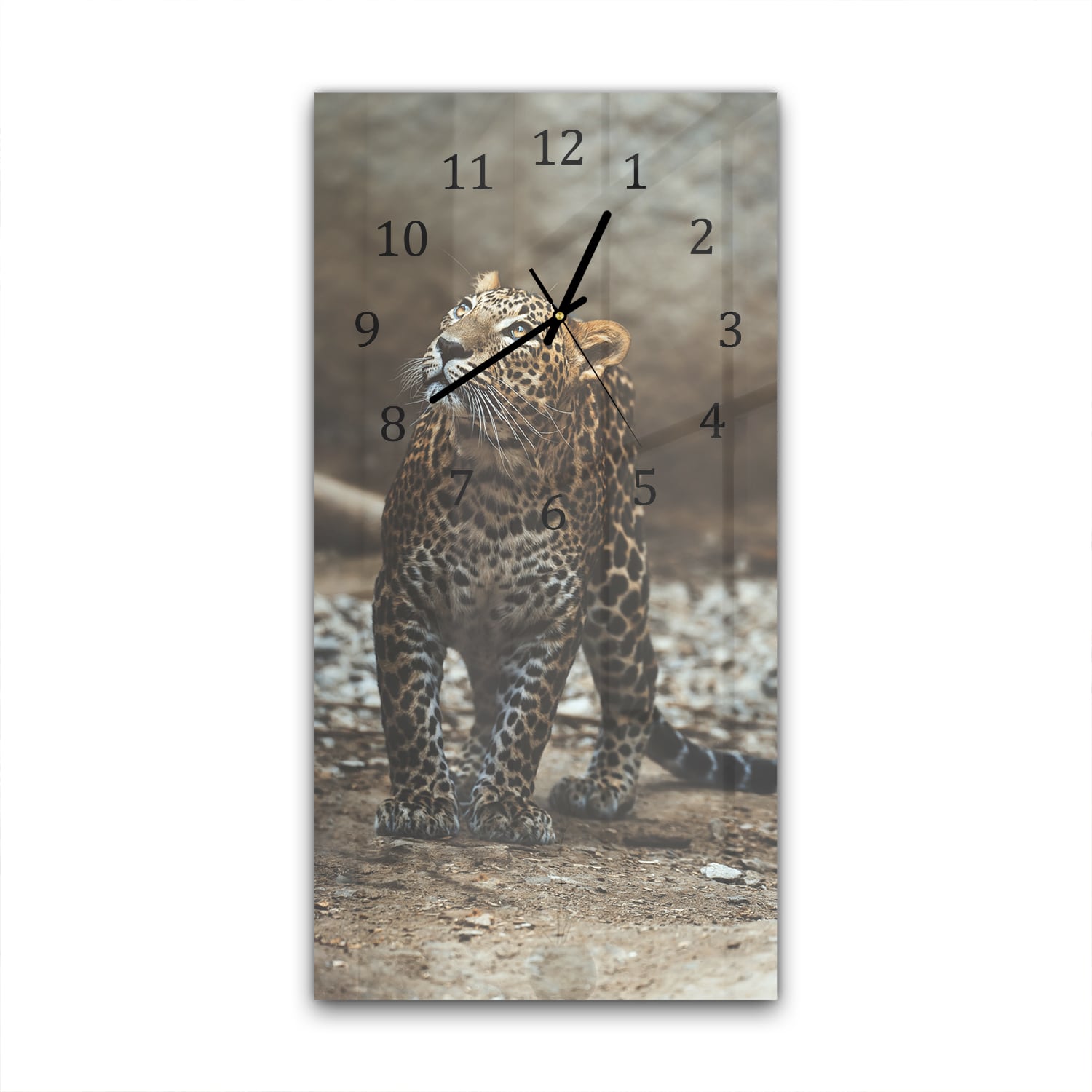 Wanduhr 30x60 - Ceylon-Leopard