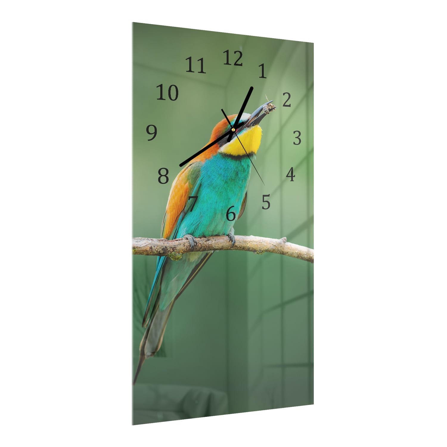 Wanduhr 30x60 - Europäischer Bienenfresser