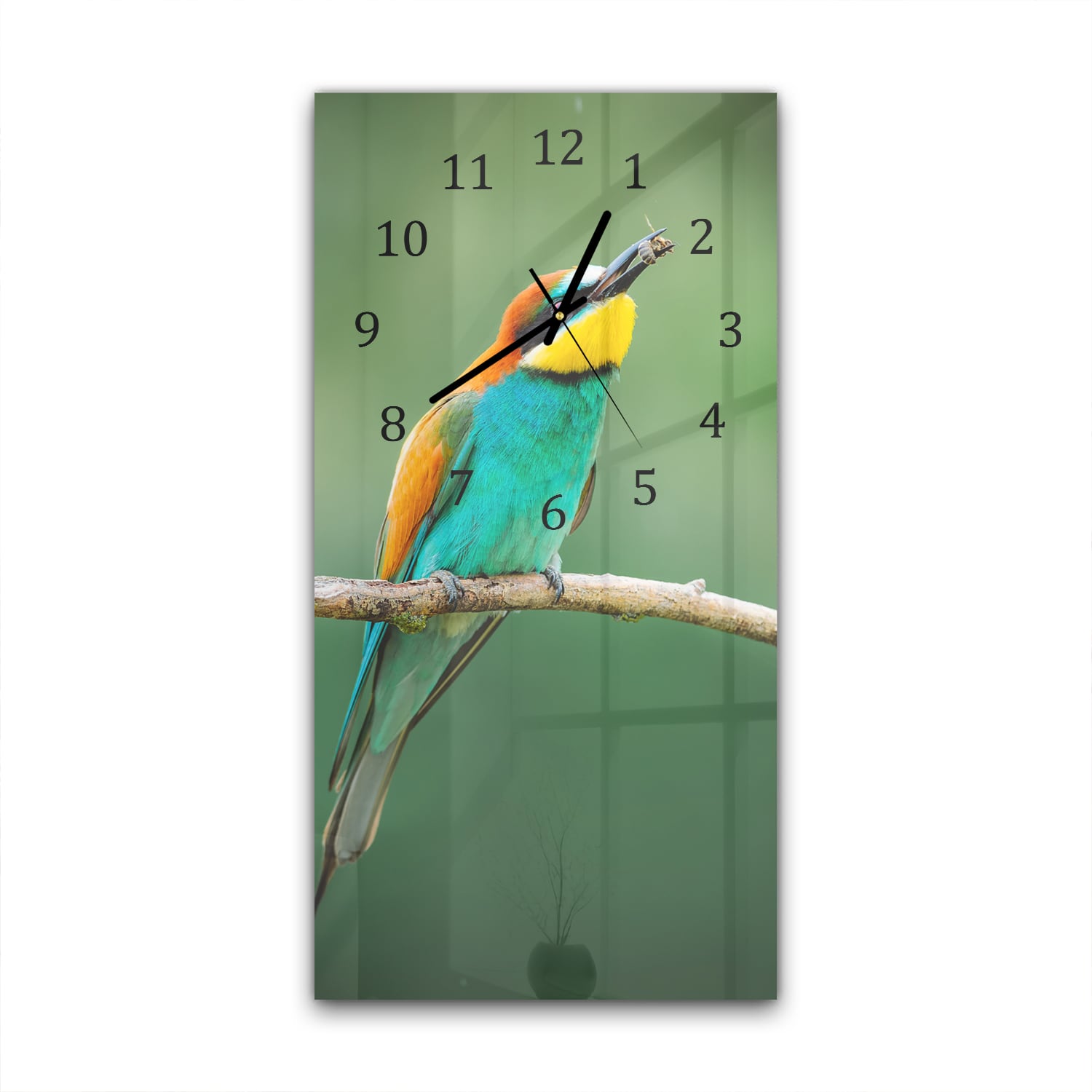 Wanduhr 30x60 - Europäischer Bienenfresser