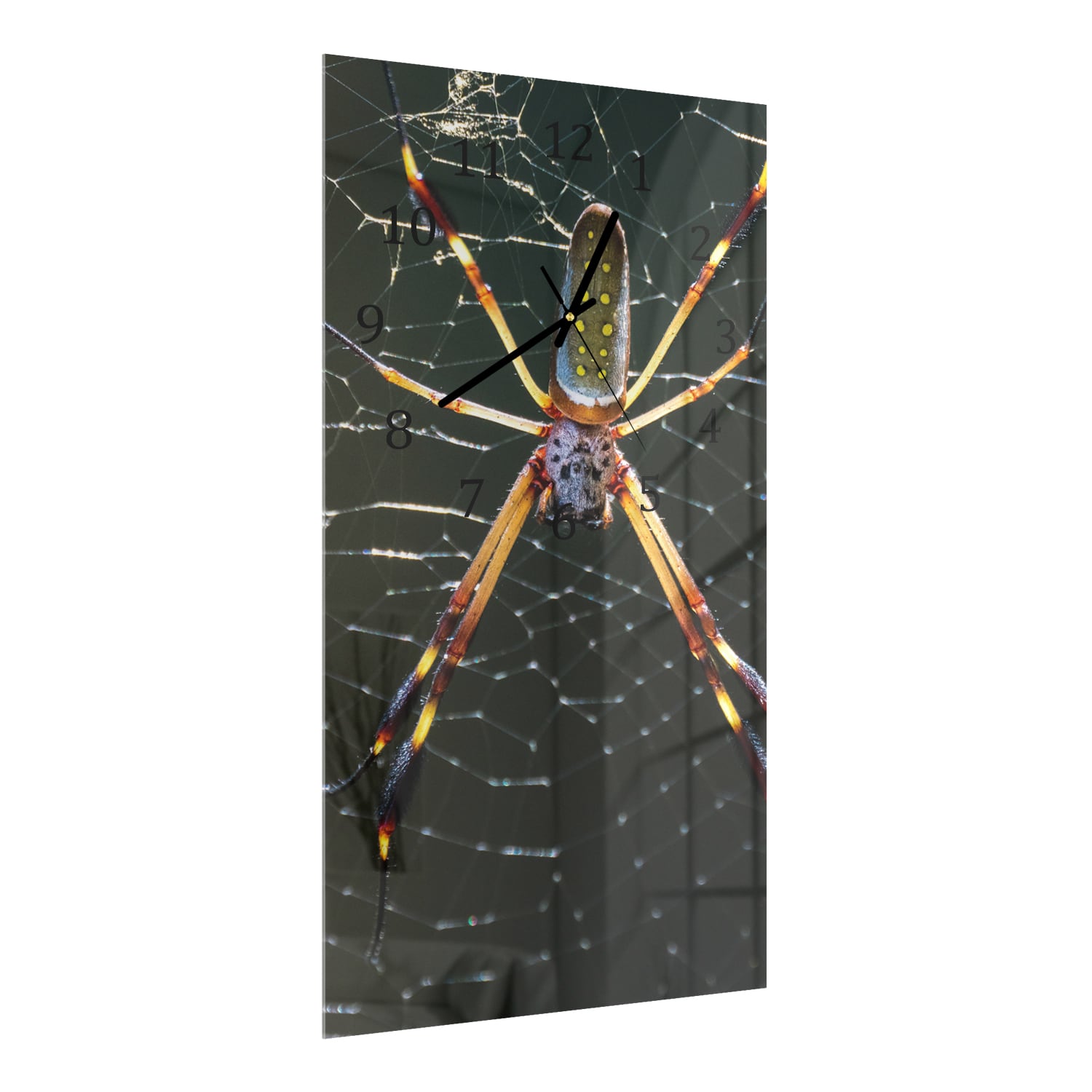 Wanduhr 30x60 - Goldene Webspinne