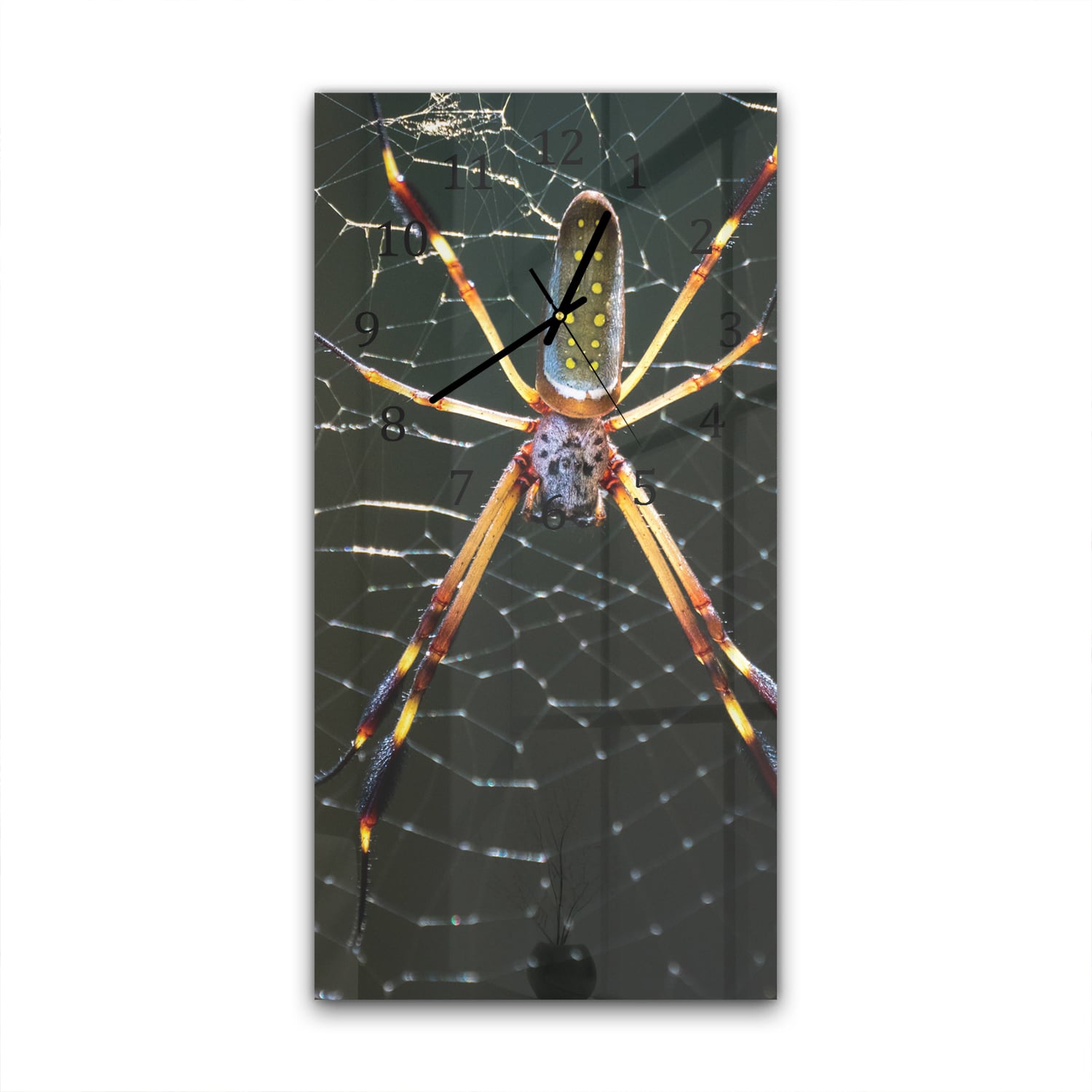 Wanduhr 30x60 - Goldene Webspinne