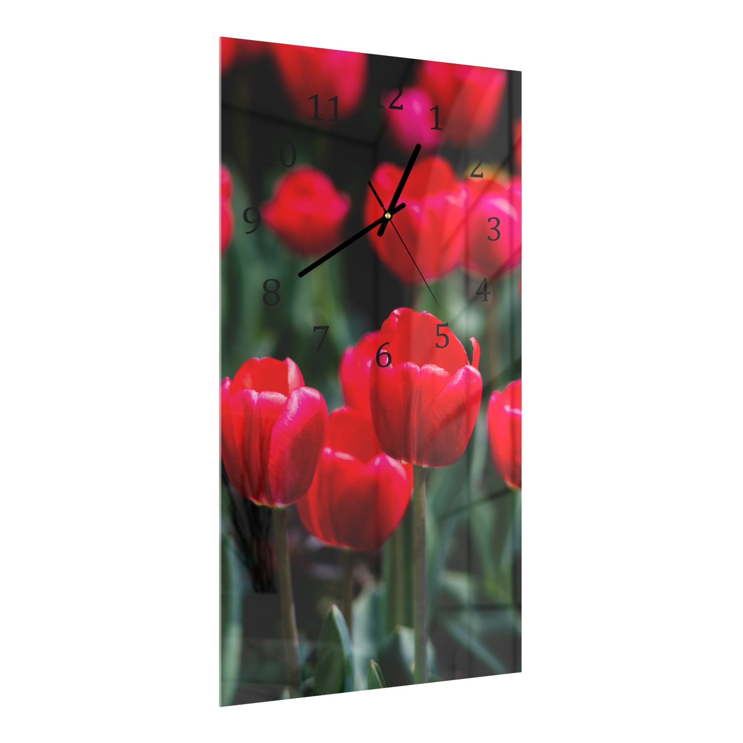 Wanduhr 30x60 - Tulpen im Feld