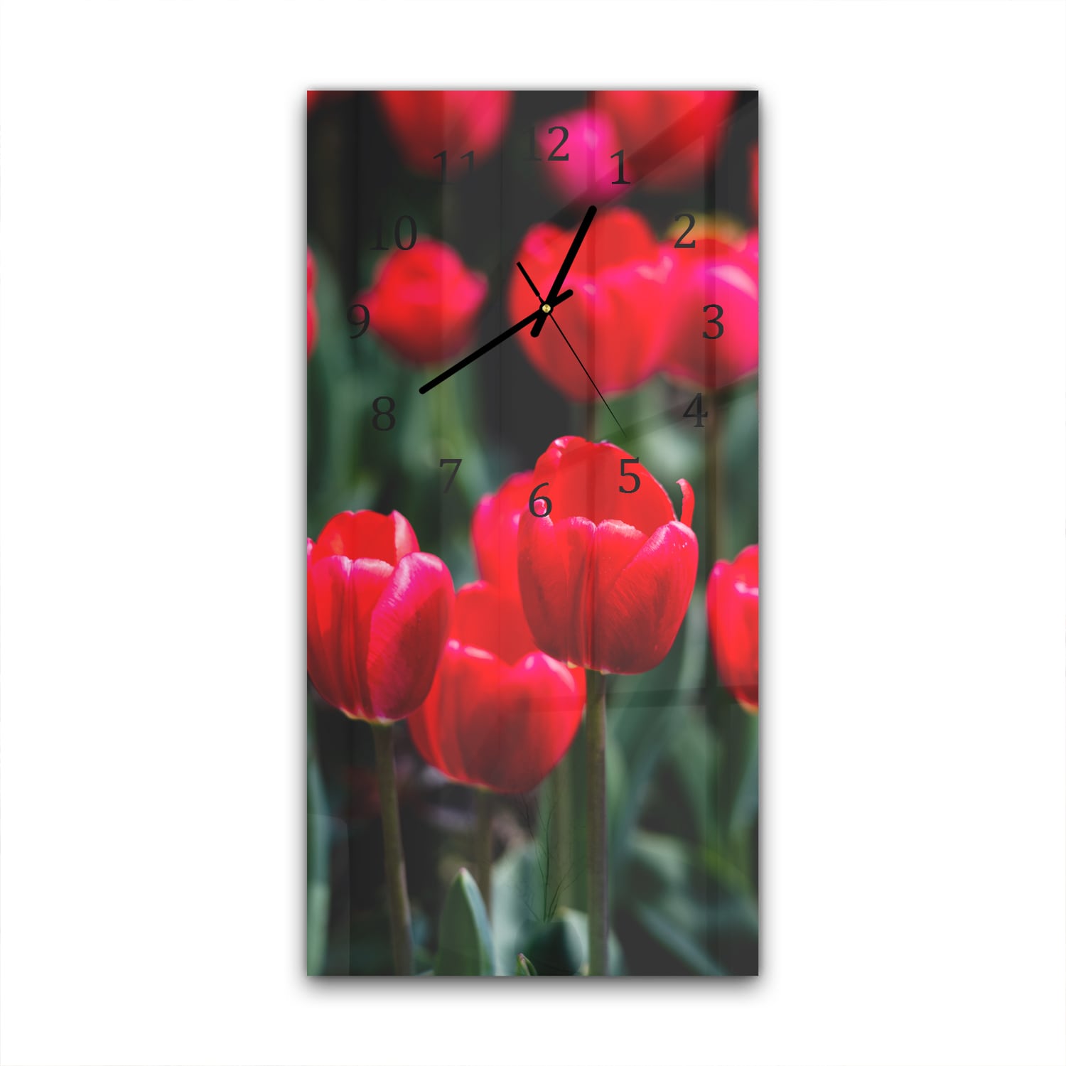 Wanduhr 30x60 - Tulpen im Feld