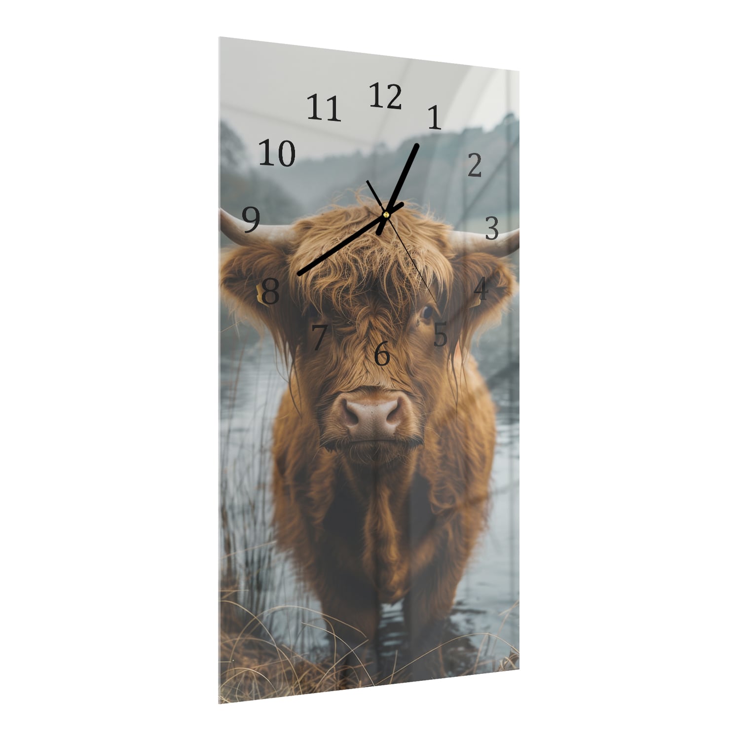 Wanduhr 30x60 - Hochlandrind im Wasser
