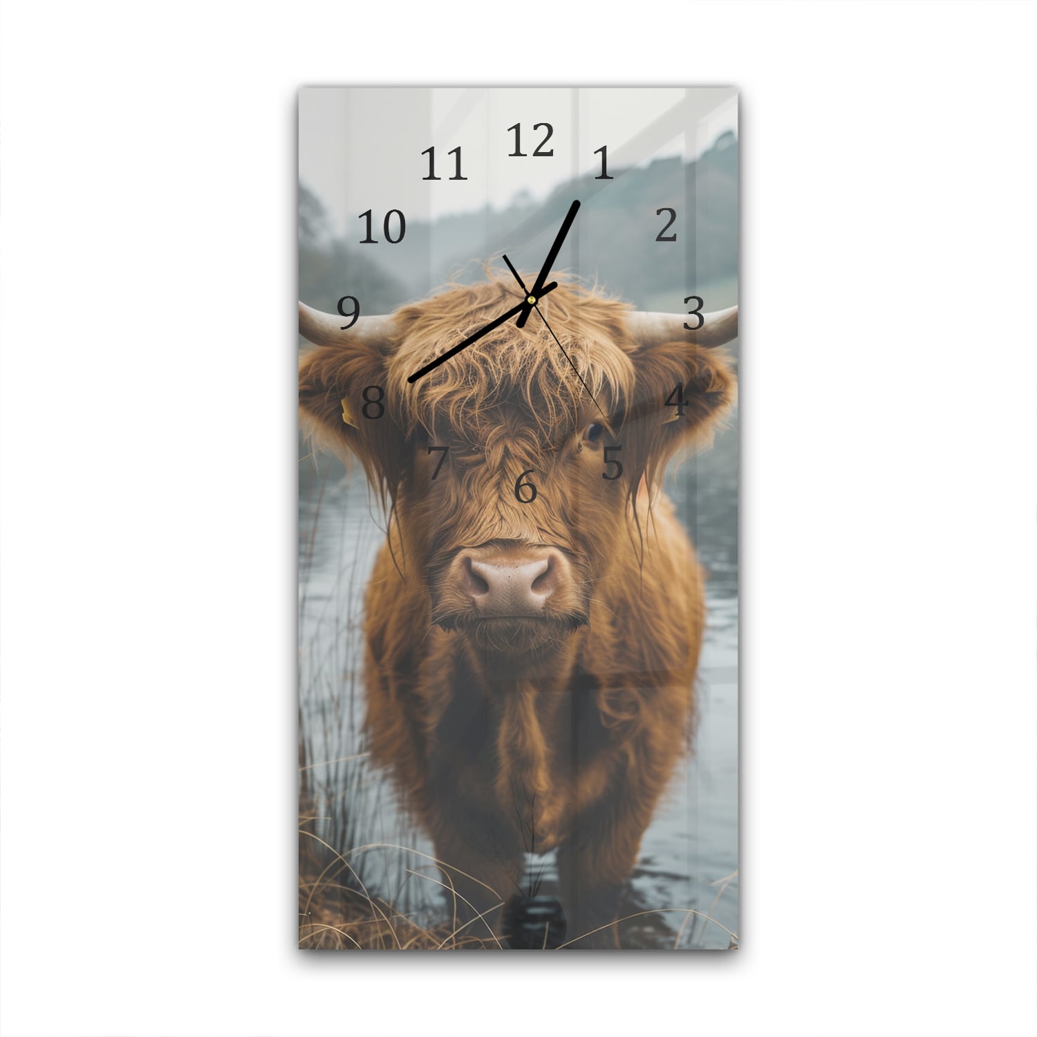 Wanduhr 30x60 - Hochlandrind im Wasser