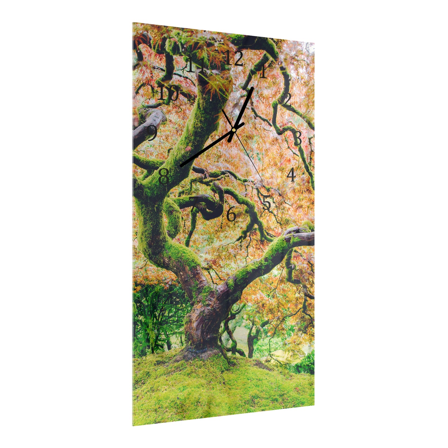Wanduhr 30x60 - Moosiger Baum im Herbst