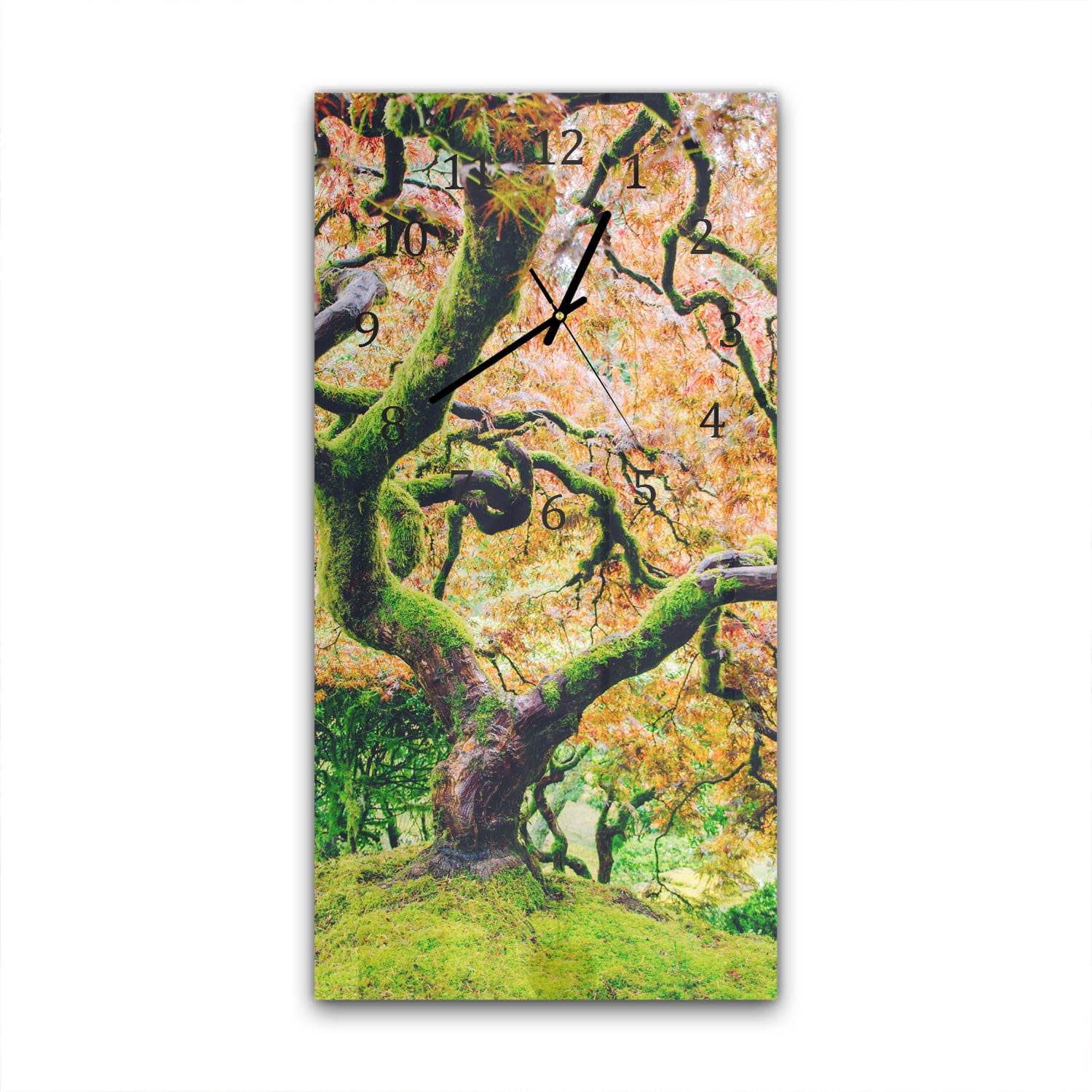 Wanduhr 30x60 - Moosiger Baum im Herbst