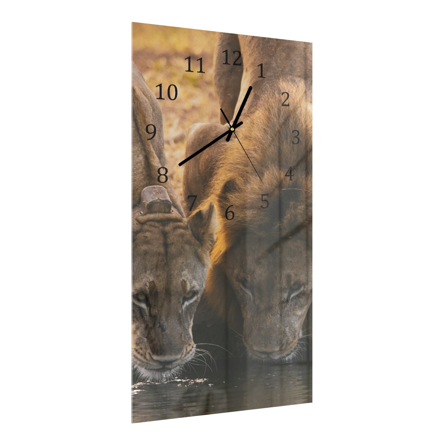 Wanduhr 30x60 - Zwei Löwen