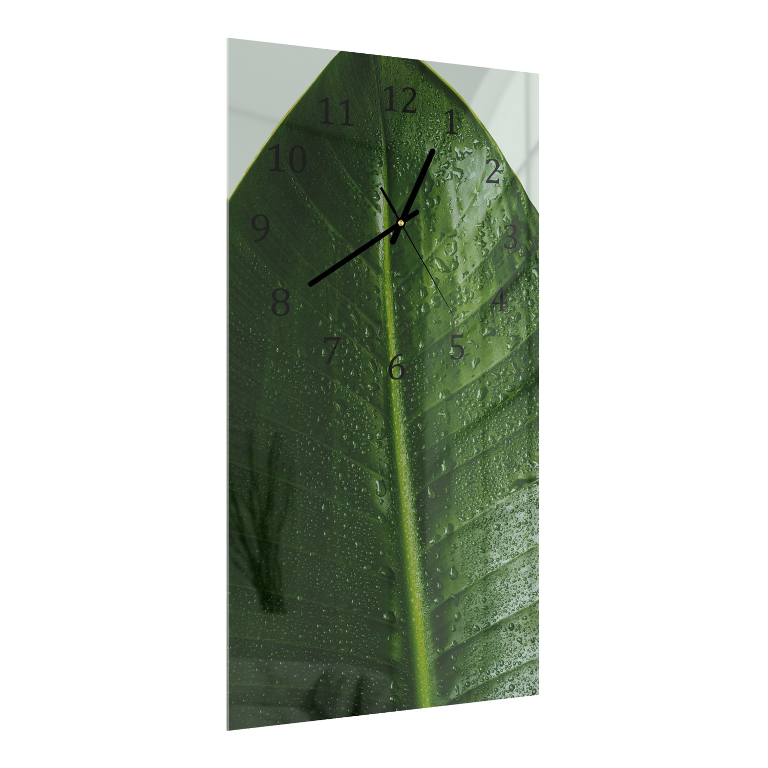 Wanduhr 30x60 - Tropfen auf tropischem Blatt