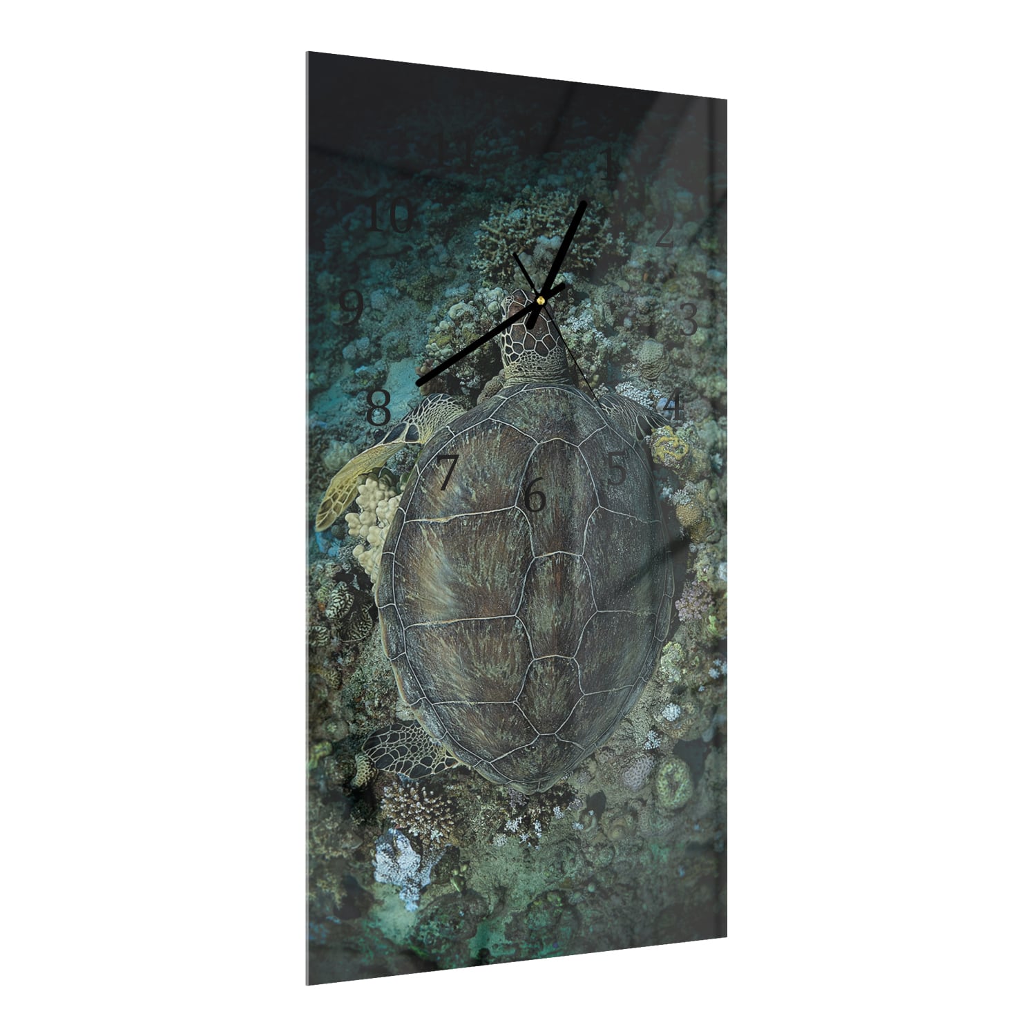 Wanduhr 30x60 - Schildkröte und Korallen