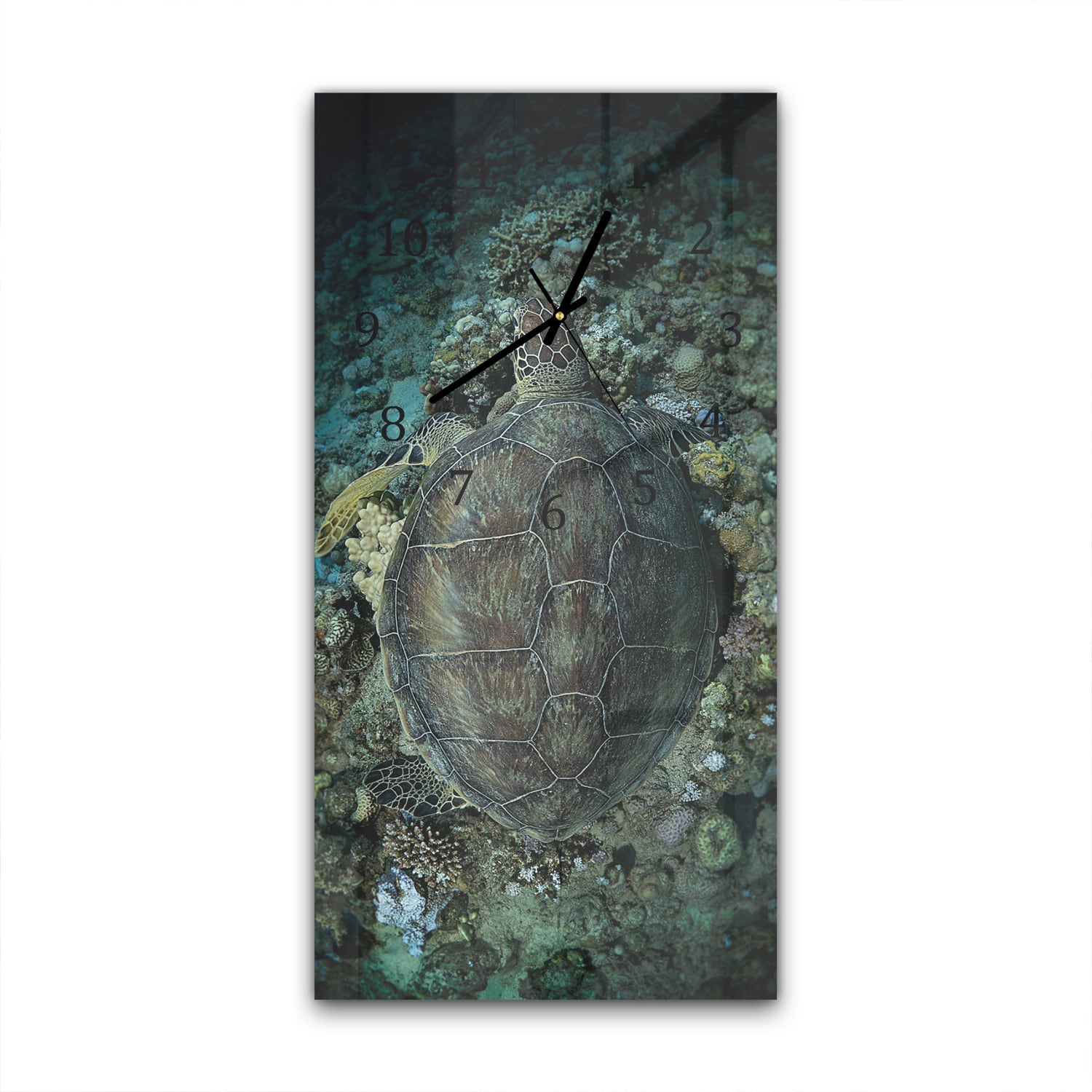 Wanduhr 30x60 - Schildkröte und Korallen