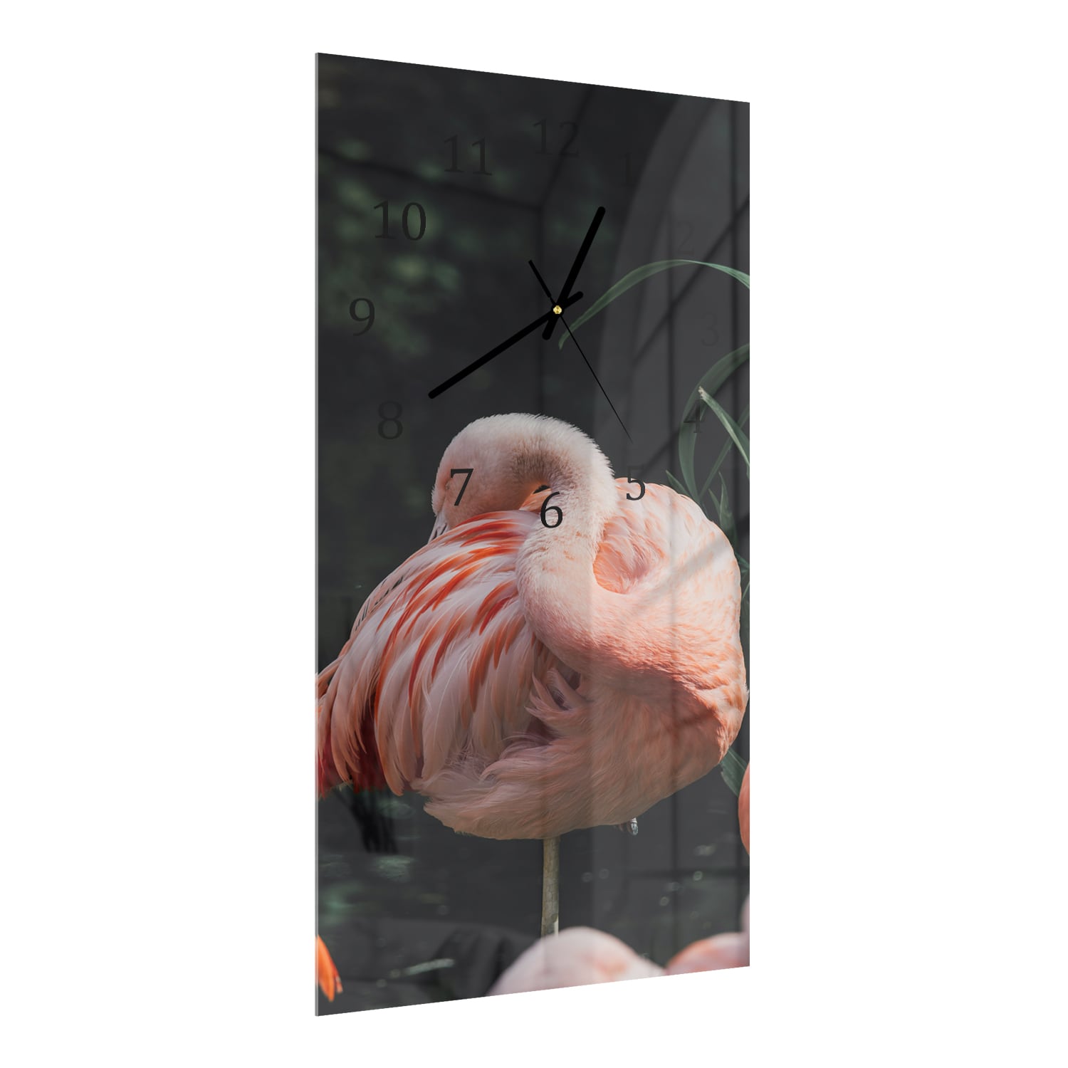 Wanduhr 30x60 - Flamingo in der Natur