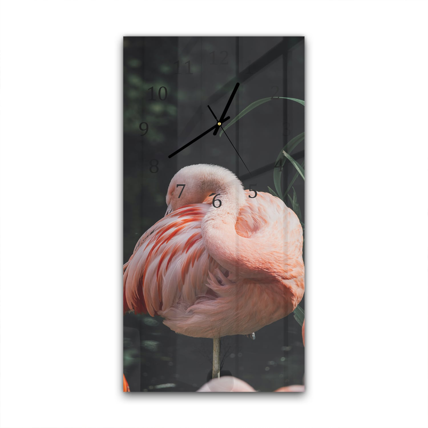 Wanduhr 30x60 - Flamingo in der Natur
