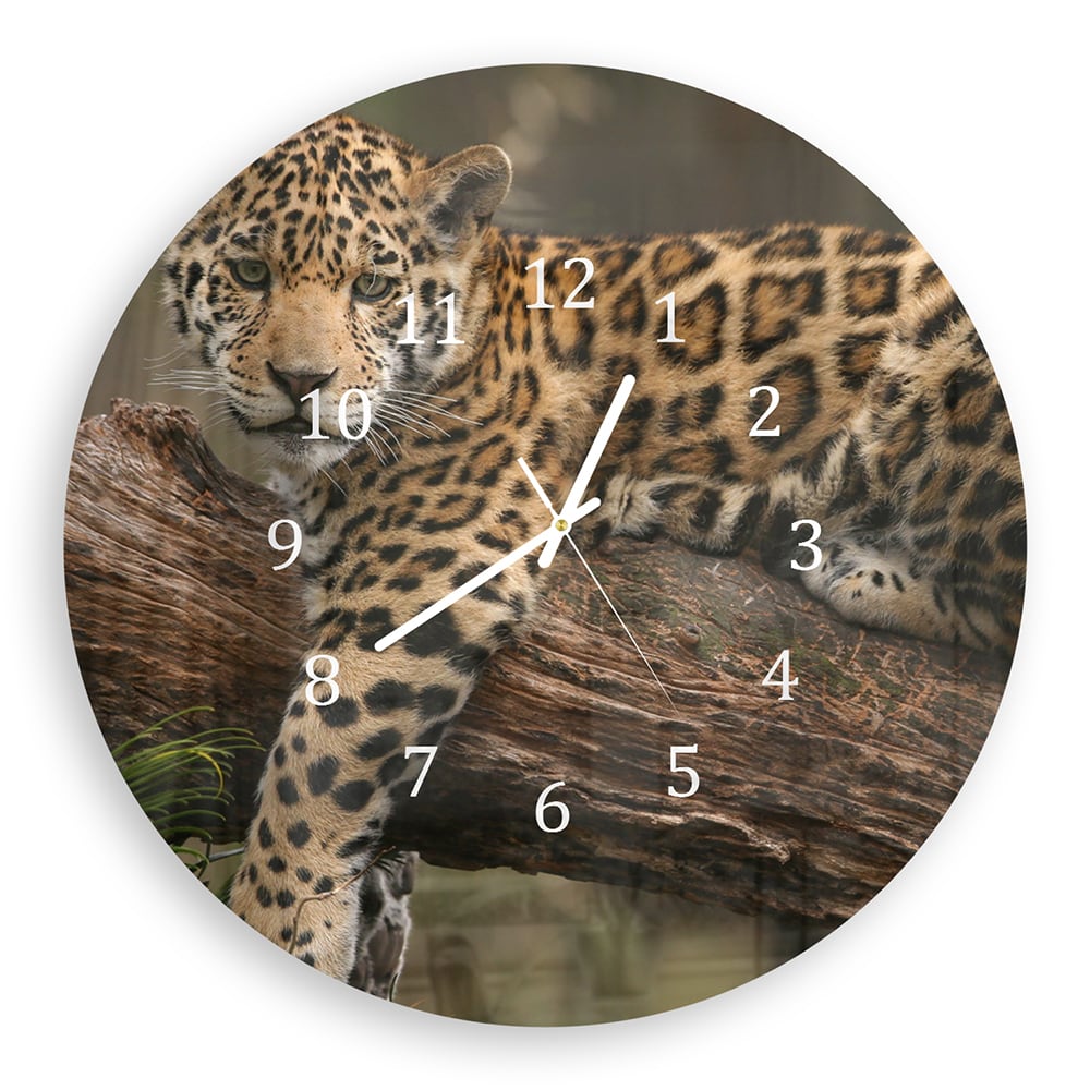 Z_30cm_B_140139908, Z_50cm_B_140139908, Z_30cm_C_140139908, Z_50cm_C_140139908
