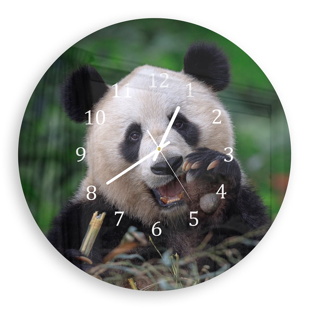 Z_30cm_B_221621304, Z_50cm_B_221621304, Z_30cm_C_221621304, Z_50cm_C_221621304