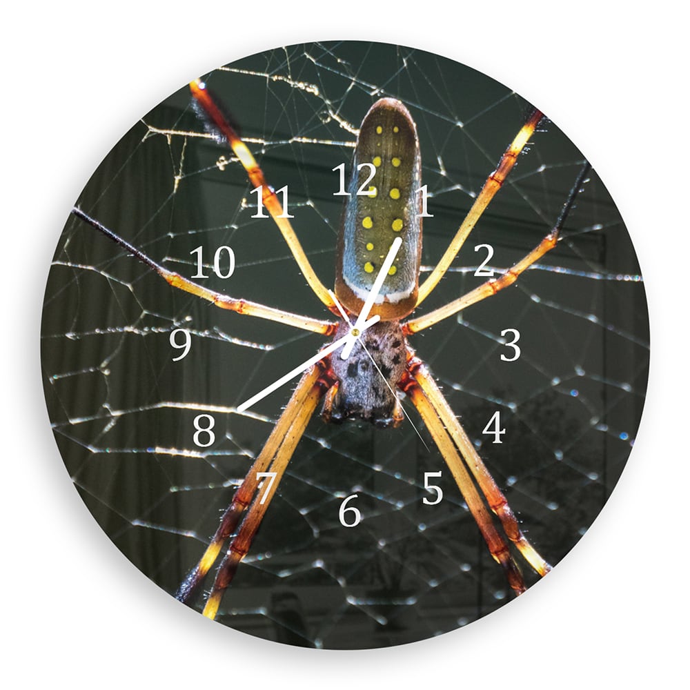 Z_30cm_B_587221336, Z_50cm_B_587221336, Z_30cm_C_587221336, Z_50cm_C_587221336
