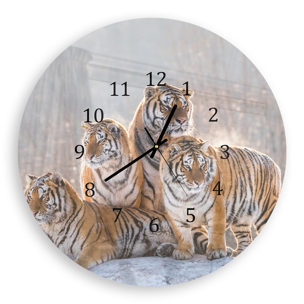 Wanduhr Rund - Gruppe von Tigern