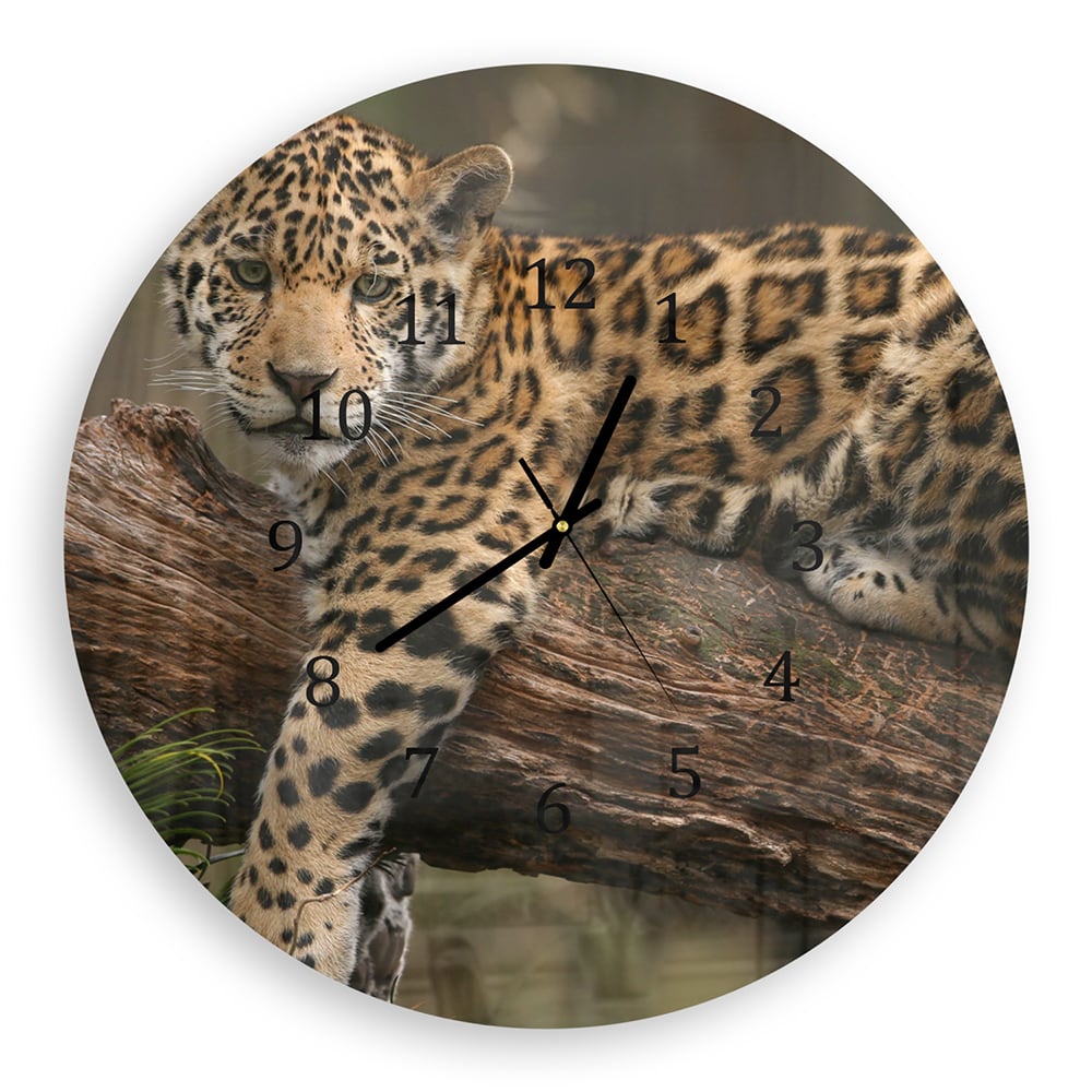 Wanduhr Rund - Jaguar auf dem Baum