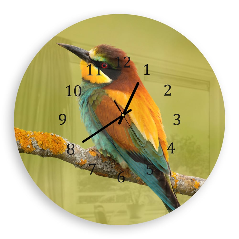 Wanduhr Rund - Bunter Vogel