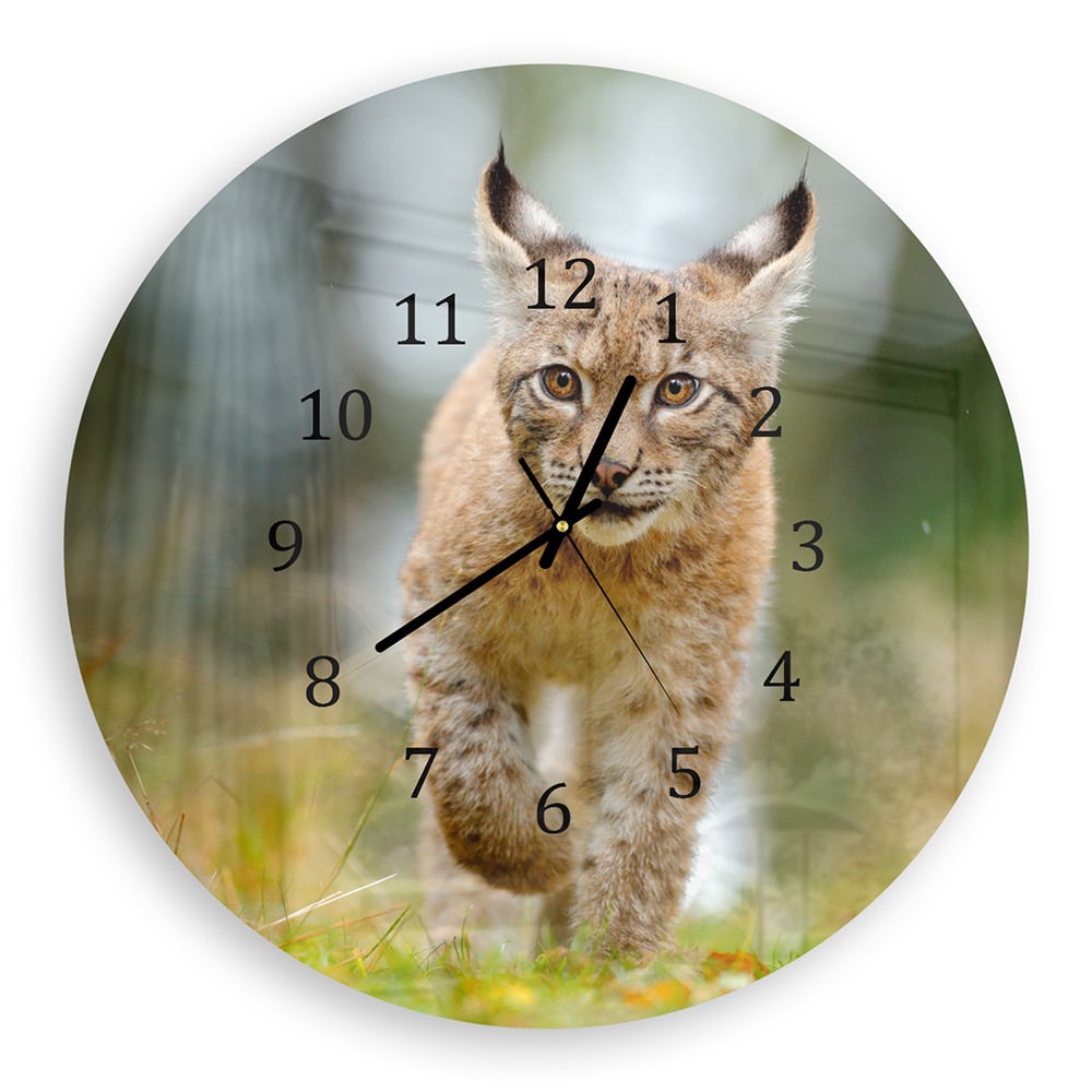 Wanduhr Rund - Junger Luchs