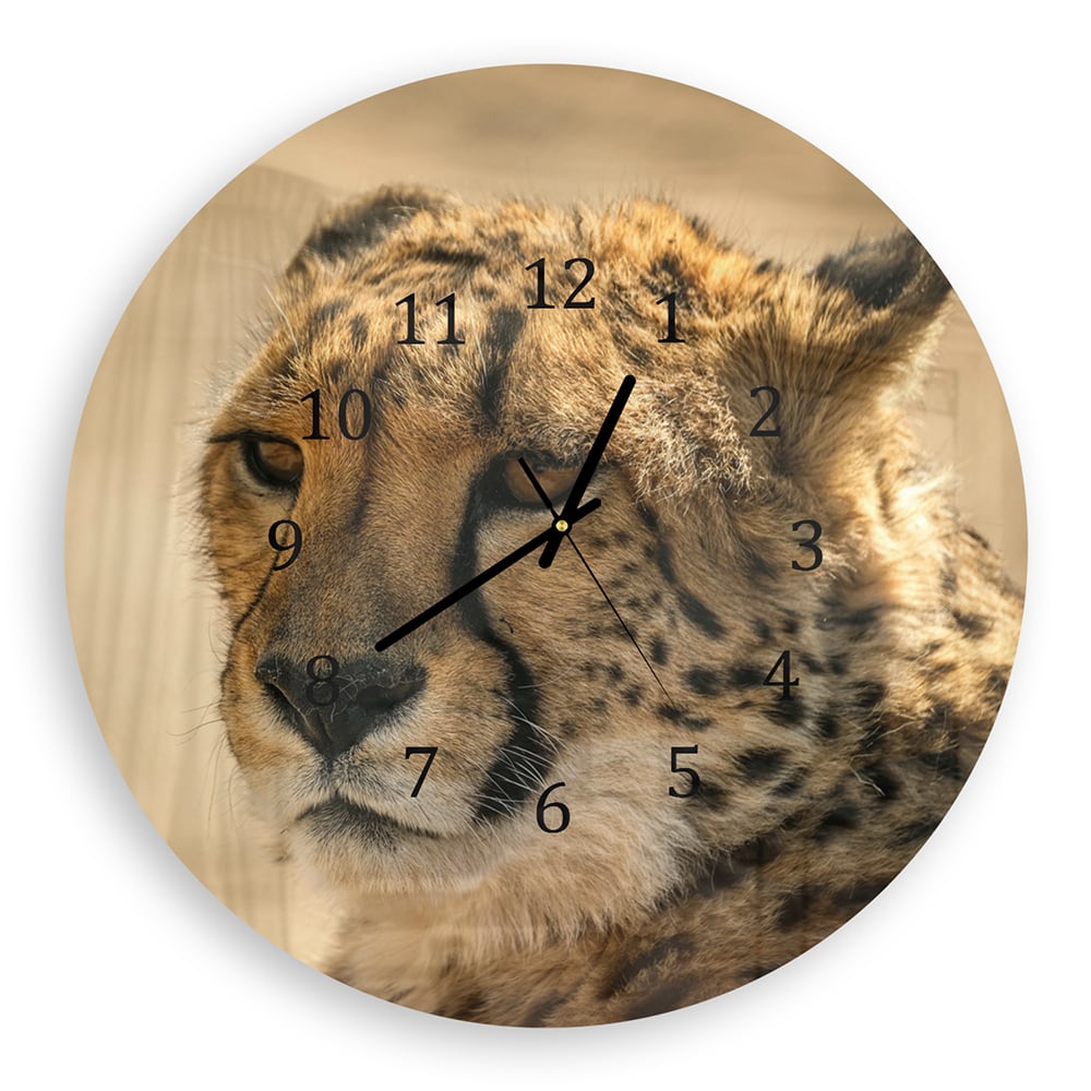 Wanduhr Rund - Gepard Nahaufnahme