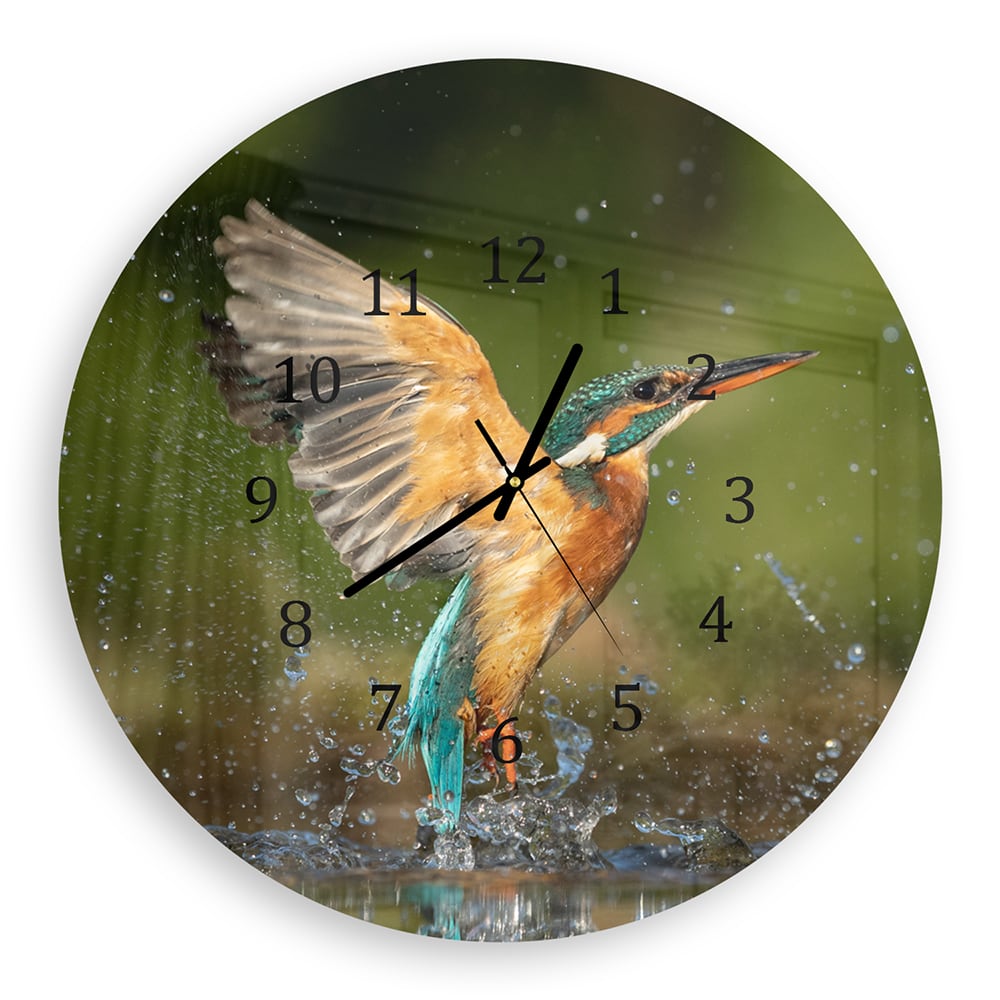 Wanduhr Rund - Eisvogel