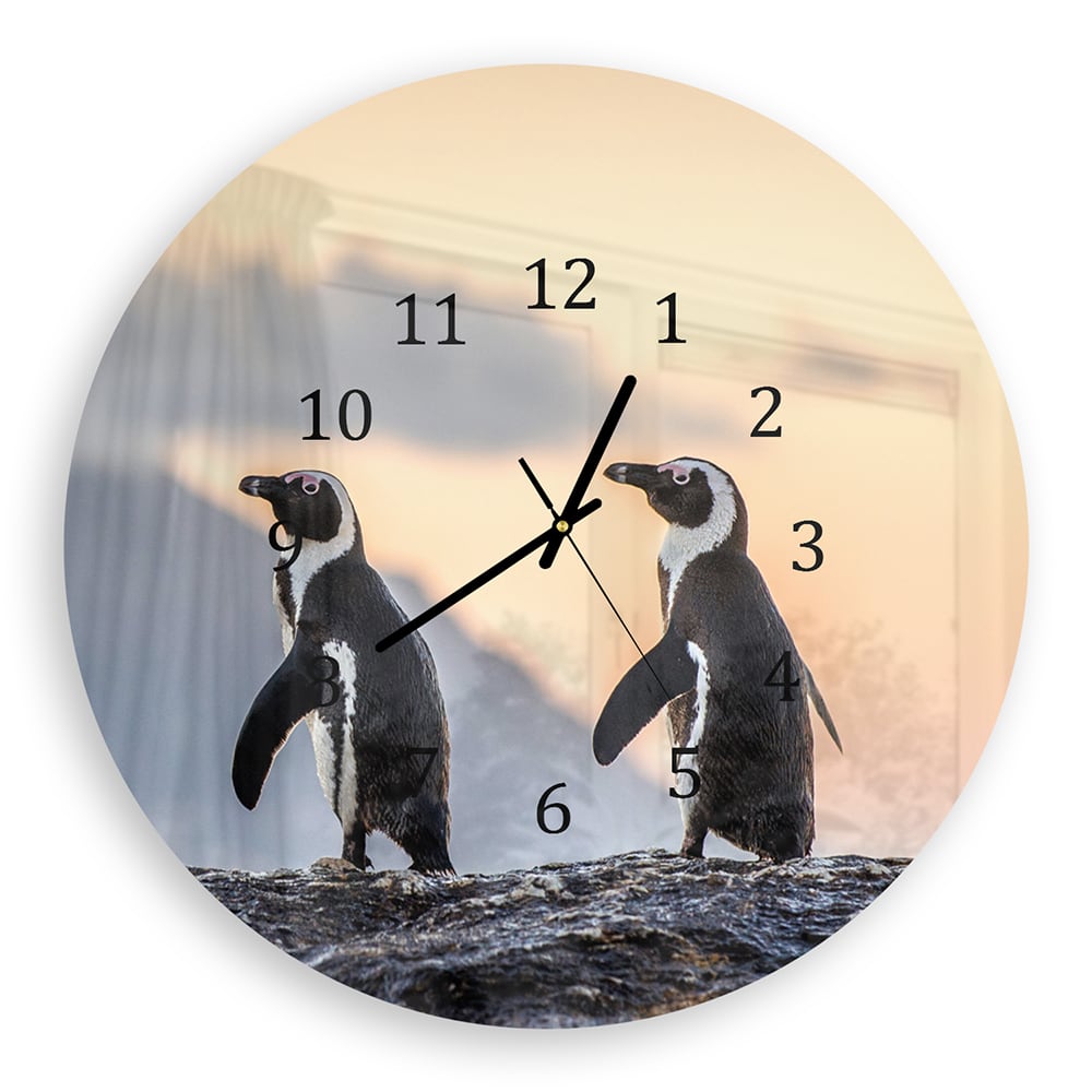 Wanduhr Rund - Afrikanische Pinguine