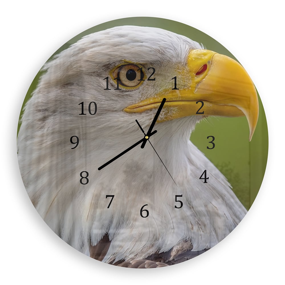 Wanduhr Rund - Seeadler