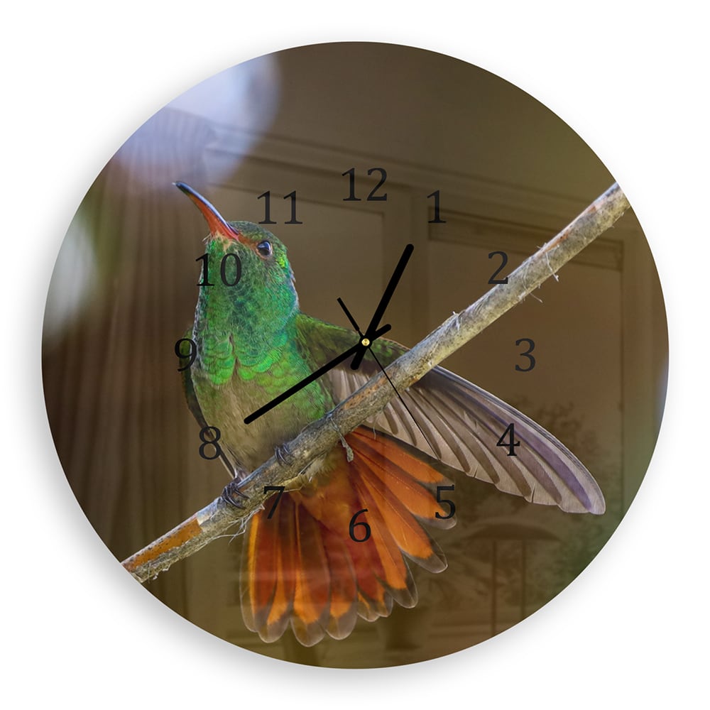 Wanduhr Rund - Kolibri