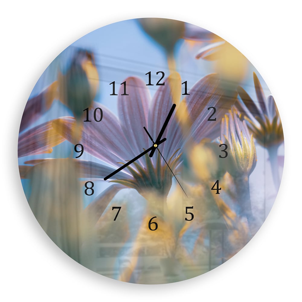 Wanduhr Rund - Margeriten